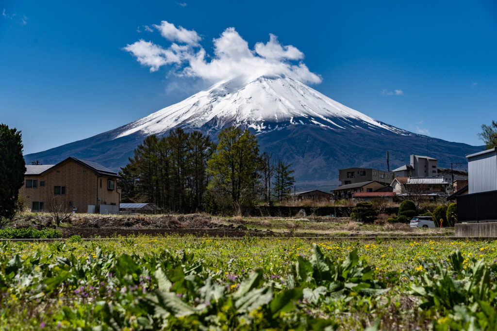 ほうとう体験教室
